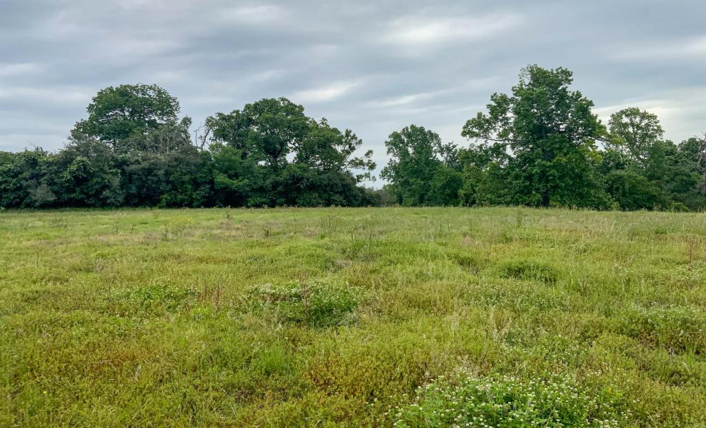 Oak Hills Ranch Chas S. Middleton